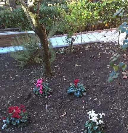 Appartamento Il Giardino