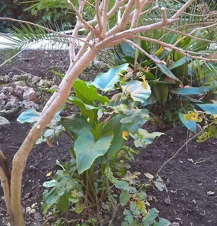 Appartamento Il Giardino Viterbo